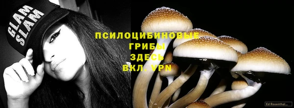 ешки Лагань