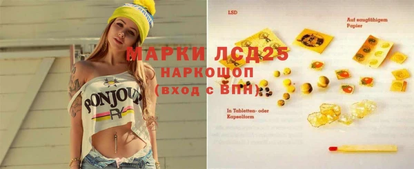 ешки Лагань